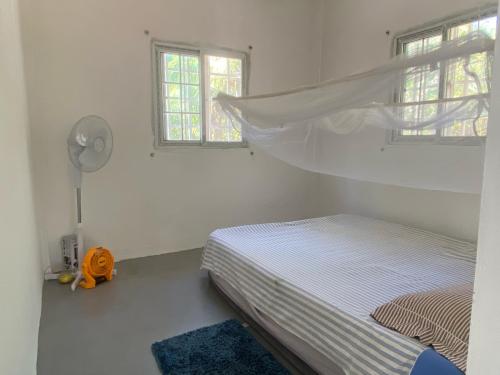 whatsapp_image_2025-05-08_at_16